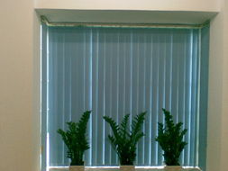 專業窗簾解決方案 從遮光辦公窗簾到布藝窗簾的全面供應商指南